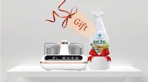 ���� ��� ������